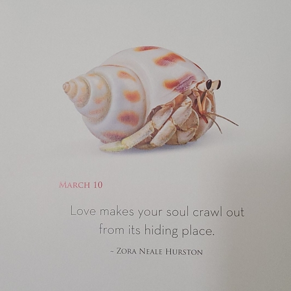 Daily Love Book - Picture 11 of 12